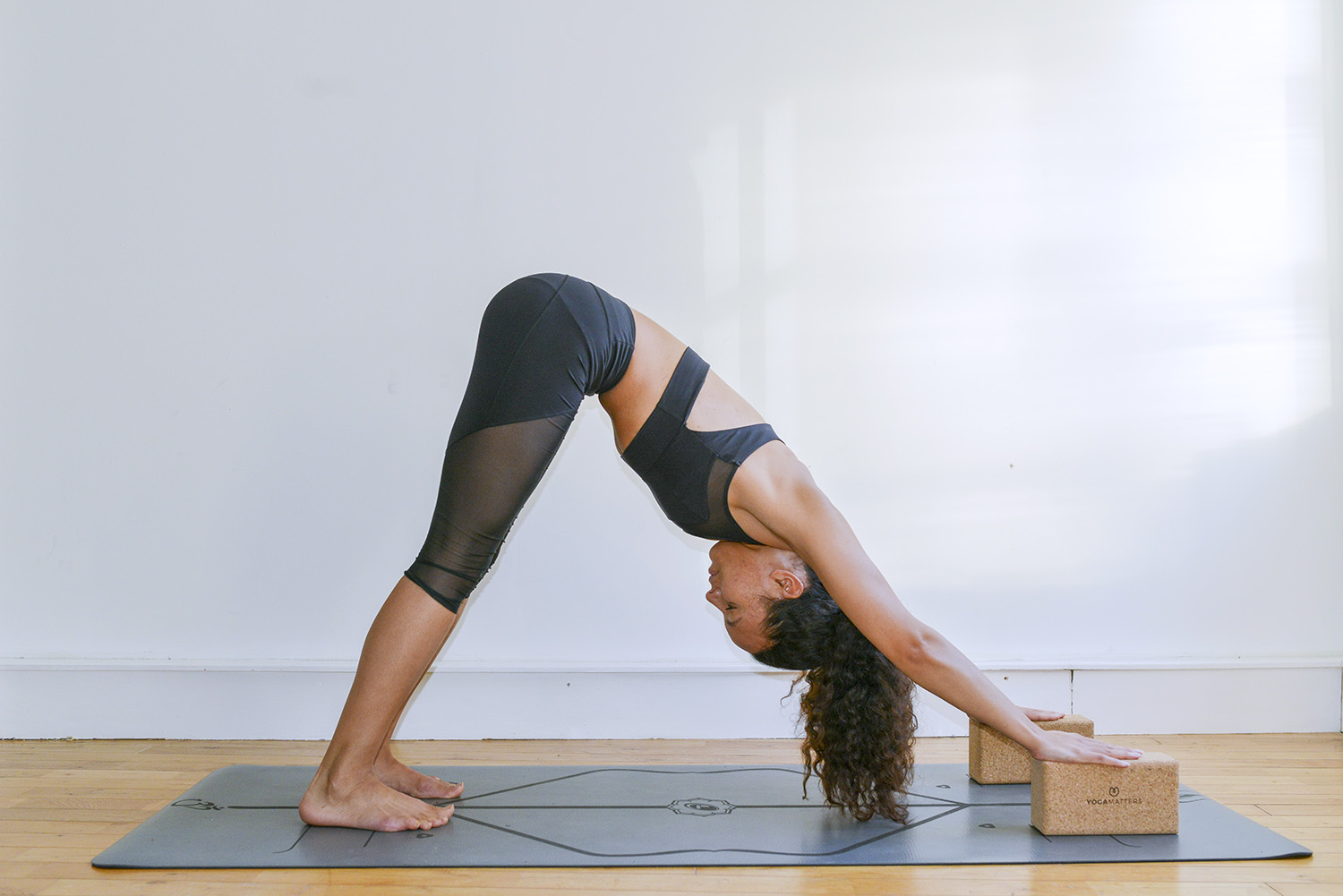 Adho Mukha Svanasana (Downward-Facing Dog Pose)