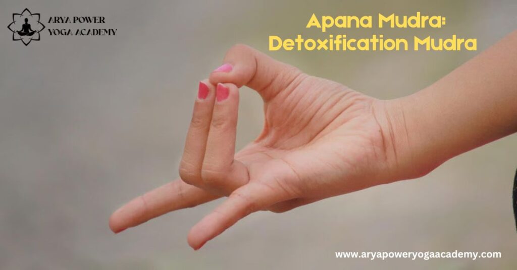 Apana Mudra: Detoxification Mudra